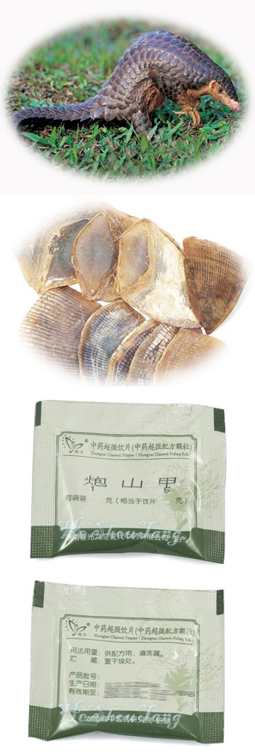 Prepared Pongolin Scales/ Prepared Squama Manitis/ Prepared Chuan shan jia/ Pao shan jia Prepared Pongolin Scales, Prepared Anteater scales, Prepared Squama Manitis, Prepared Squama Manitis Pentadactylae, Prepared Manis pentadactyla Linn, Chuan shan jia